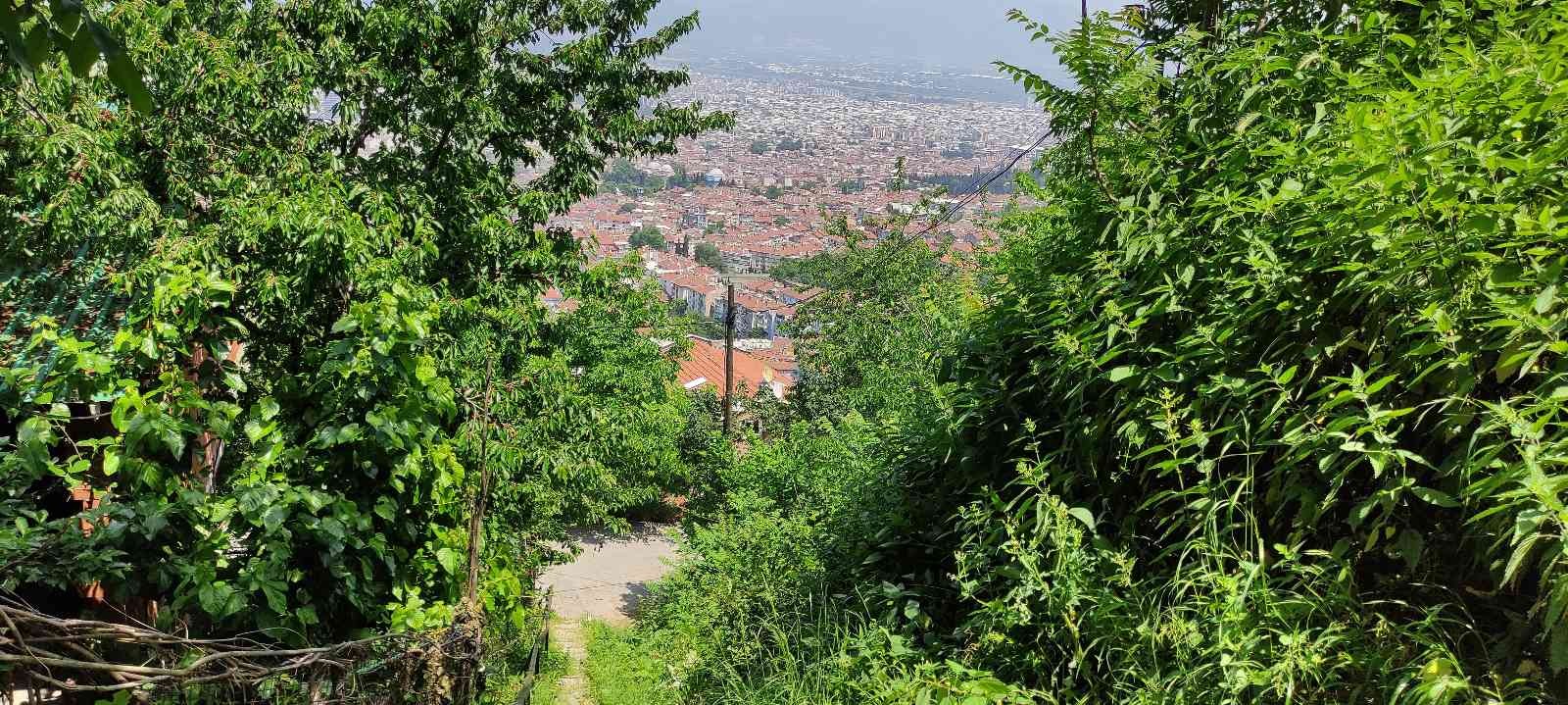 Bursa’da ayılar mahallenin müdavimi oldu, her gün evlerin yakınına kadar gelip vatandaşlardan korkmuyor. Yıldırım ilçesi Mollaarap Mahallesi’nin ...