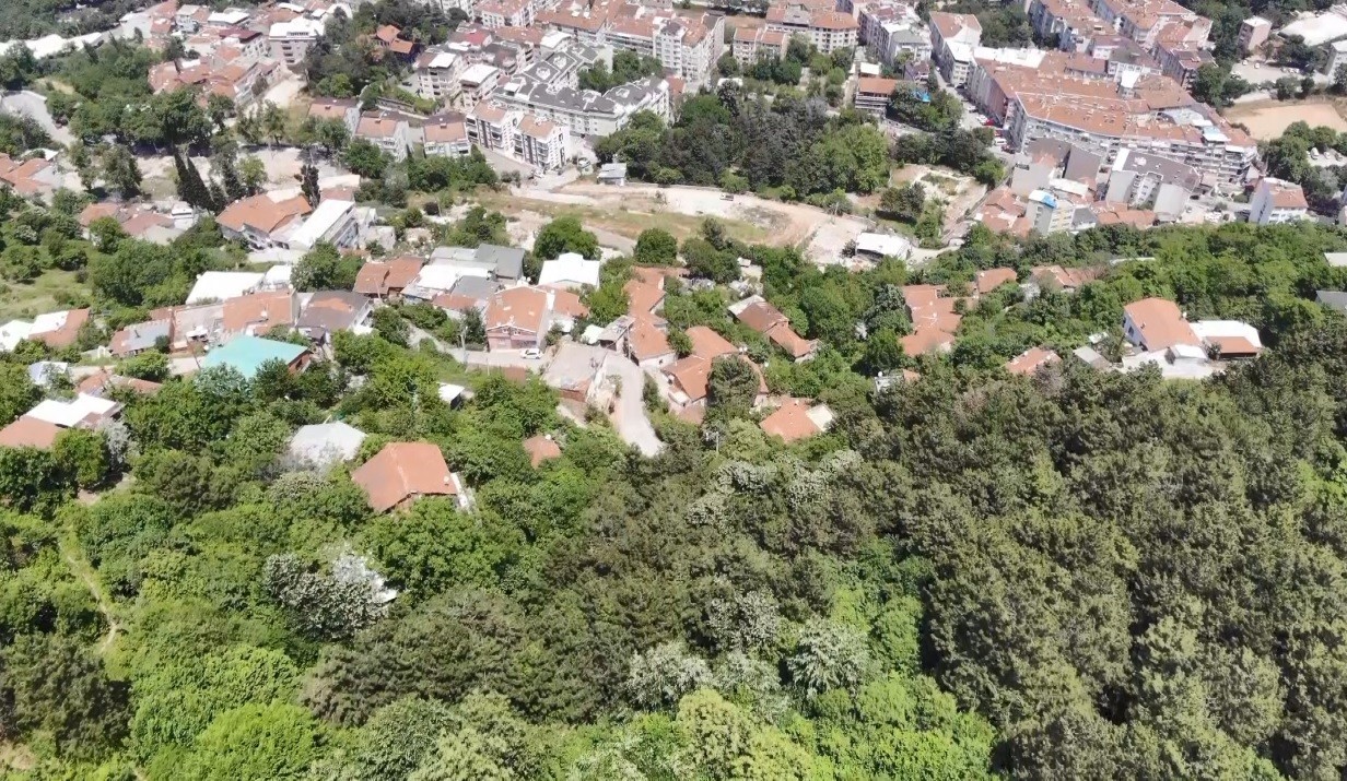 Bursa’da ayılar mahallenin müdavimi oldu, her gün evlerin yakınına kadar gelip vatandaşlardan korkmuyor. Yıldırım ilçesi Mollaarap Mahallesi’nin ...