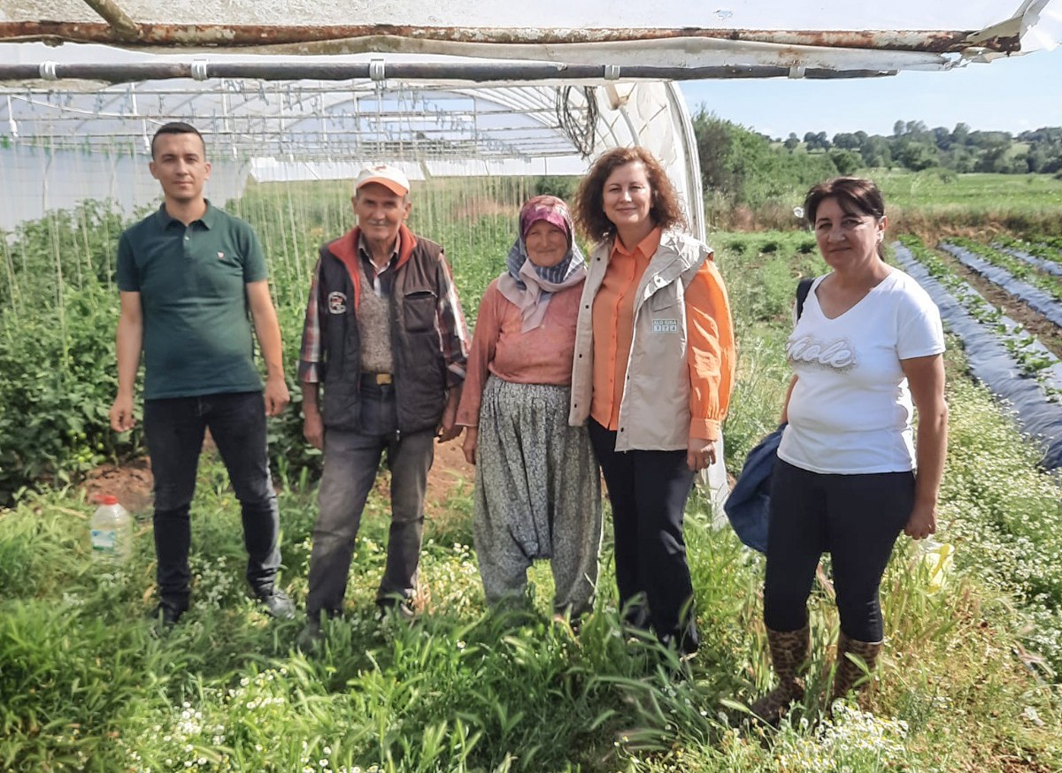 Tekirdağ’ın Saray ilçesinde Tarım ve Orman Müdürlüğünün seracılık faaliyeti yürüten çiftçiyi zararlılara karşı bilgilendirme çalışmaları devam ...