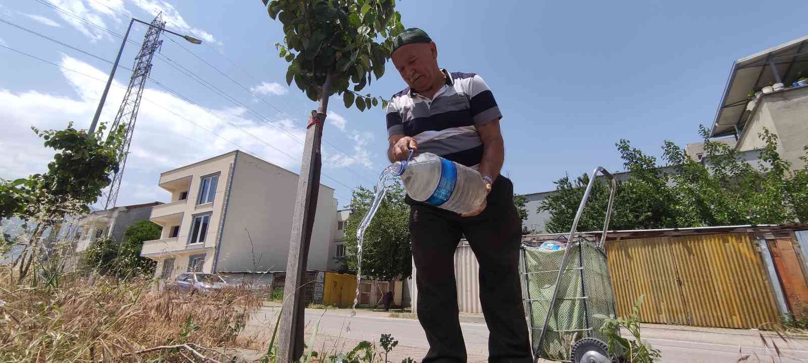 Bursa’da 65 yaşındaki hayırsever vatandaş "herkes meyve yesin" diye sokak sokak gezip yol kenarlarına meyve fidanı dikiyor. Tesisat işinden ...