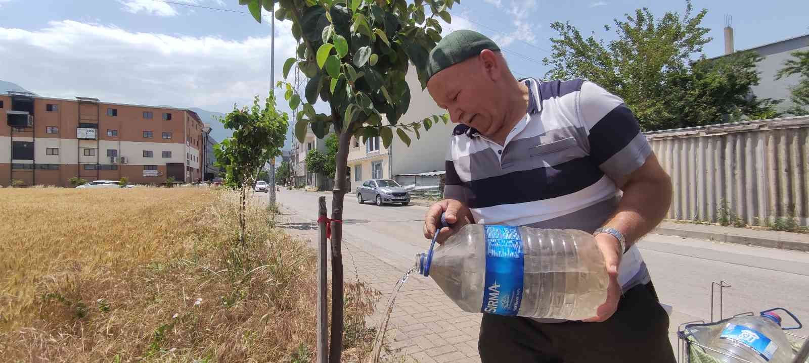 Bursa’da 65 yaşındaki hayırsever vatandaş "herkes meyve yesin" diye sokak sokak gezip yol kenarlarına meyve fidanı dikiyor. Tesisat işinden ...