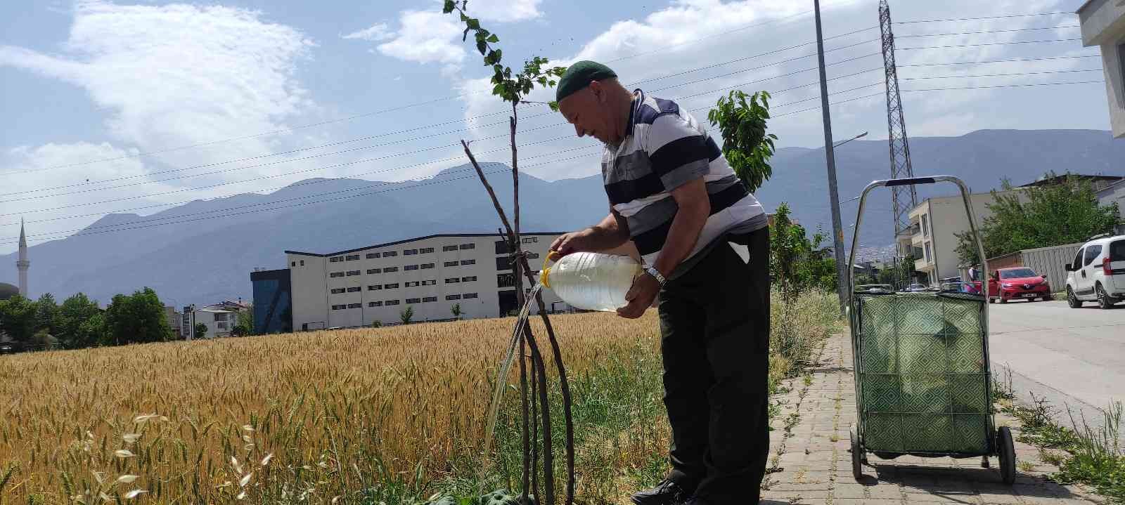 Bursa’da 65 yaşındaki hayırsever vatandaş "herkes meyve yesin" diye sokak sokak gezip yol kenarlarına meyve fidanı dikiyor. Tesisat işinden ...