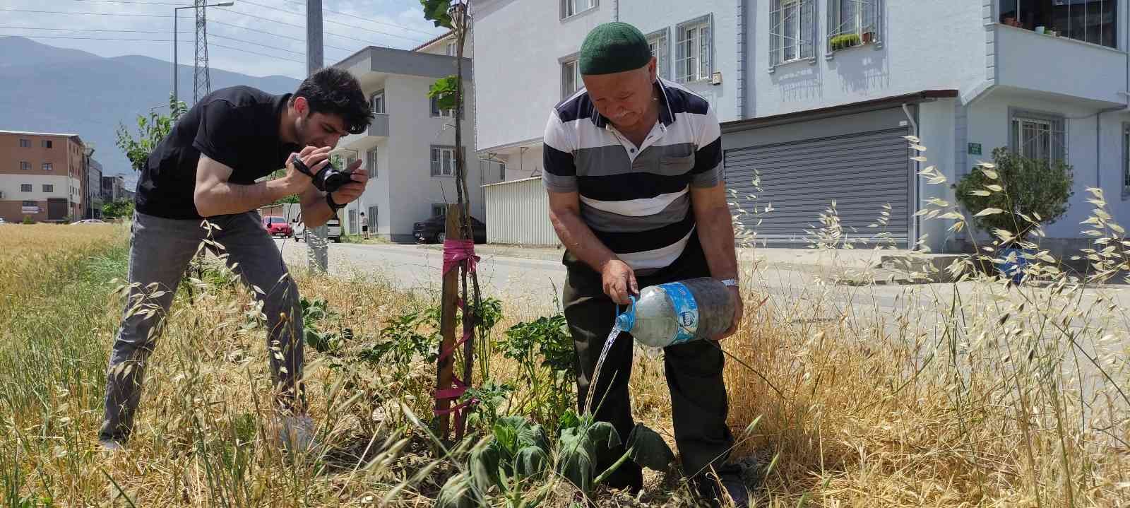 Bursa’da 65 yaşındaki hayırsever vatandaş "herkes meyve yesin" diye sokak sokak gezip yol kenarlarına meyve fidanı dikiyor. Tesisat işinden ...