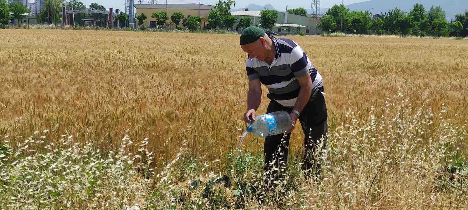 Bursa’da 65 yaşındaki hayırsever vatandaş "herkes meyve yesin" diye sokak sokak gezip yol kenarlarına meyve fidanı dikiyor. Tesisat işinden ...